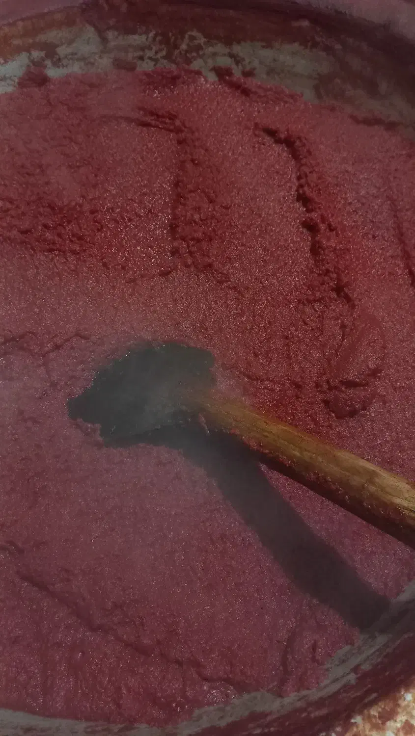 رب گوجه خانگی|خوردنی و آشامیدنی|رشت, ترمینال|دیوار