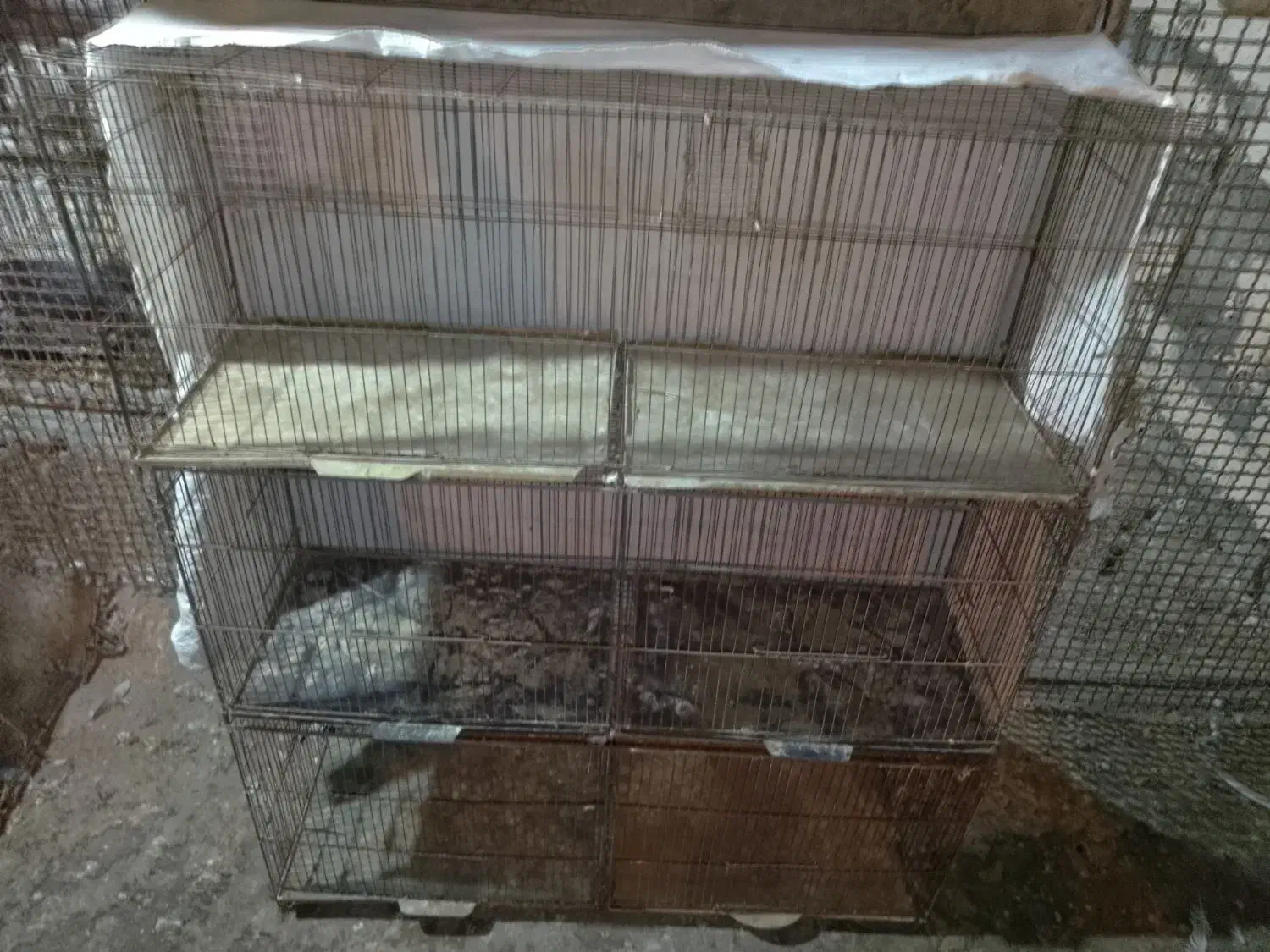 قفس جوجه پرون|لوازم جانبی حیوانات|بندرعباس, |دیوار