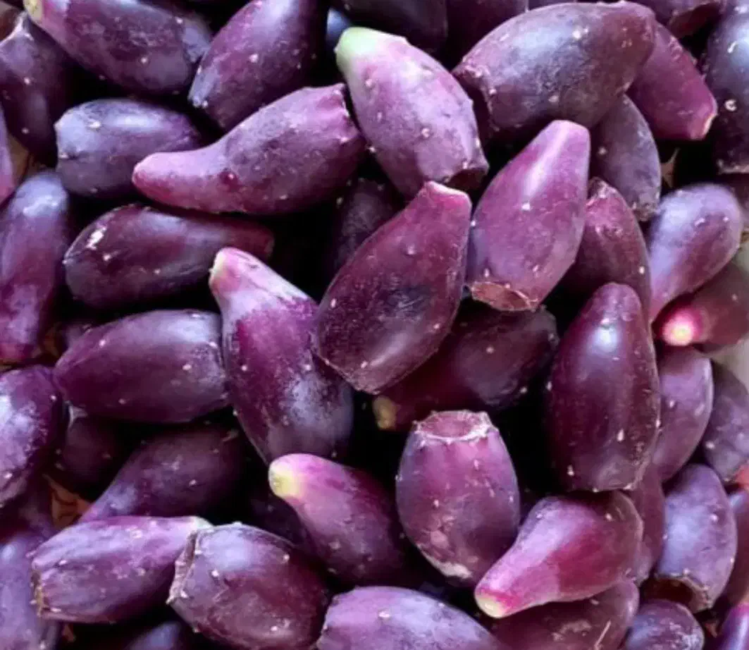 میوه کاکتوس|خوردنی و آشامیدنی|اصفهان, ملکشهر|دیوار