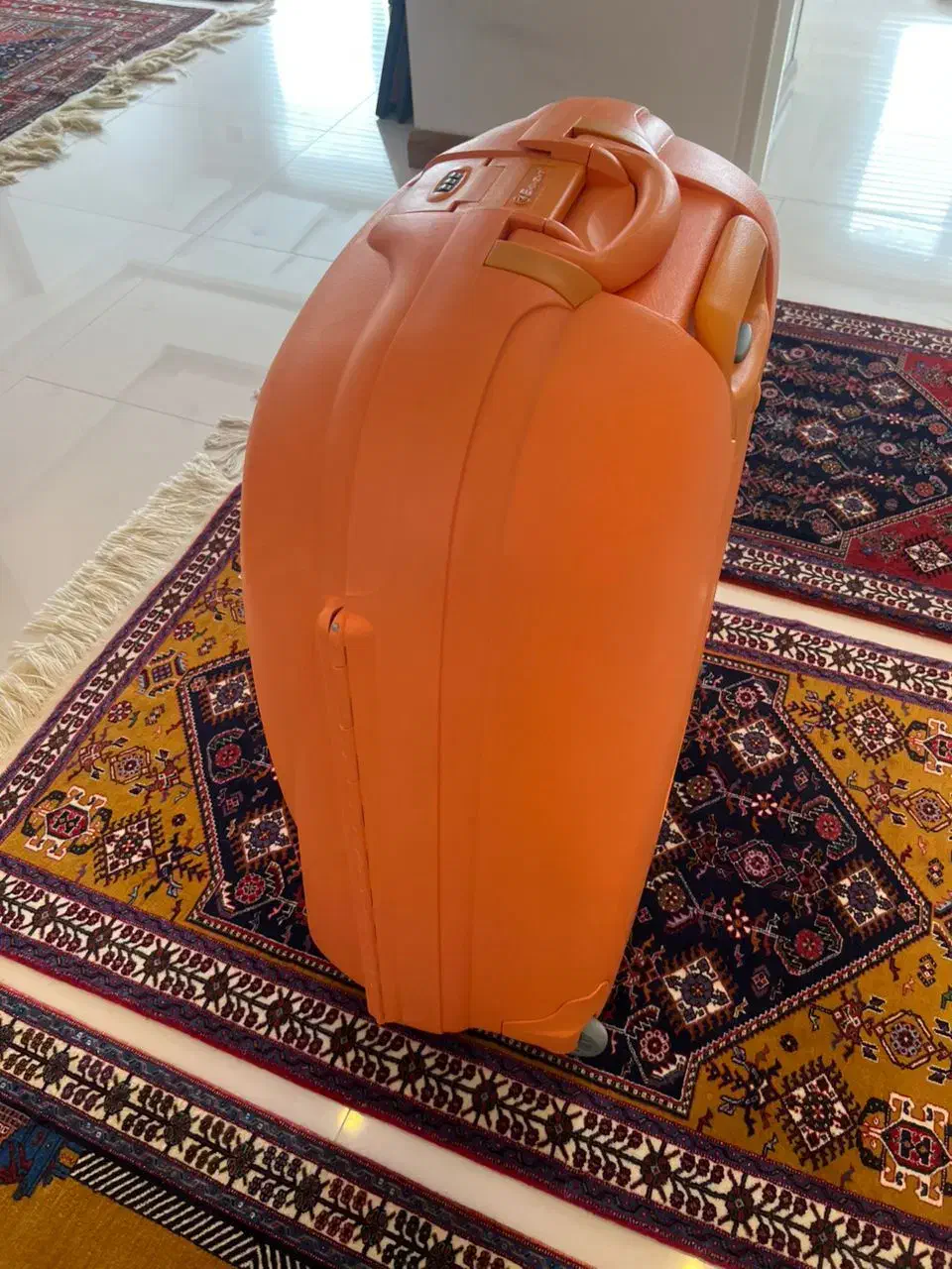 چمدان برند و یک عدد فرش 4 متری|کیف، کفش، کمربند|شیراز, تاچارا|دیوار