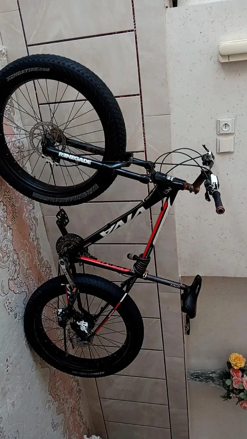 دوچرخه ساحلی ویوا|دوچرخه، اسکیت، اسکوتر|شهرضا, |دیوار