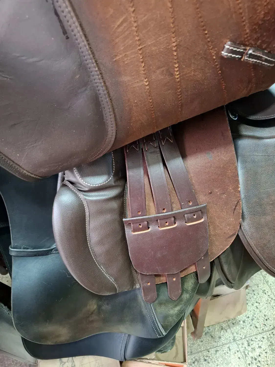 زین اسب|اسب و تجهیزات اسبسواری|تهران, خلیج فارس|دیوار