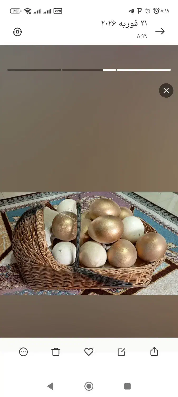 سبدی حصیری|صنایع دستی و سایر لوازم تزئینی|تربتحیدریه, قائم|دیوار