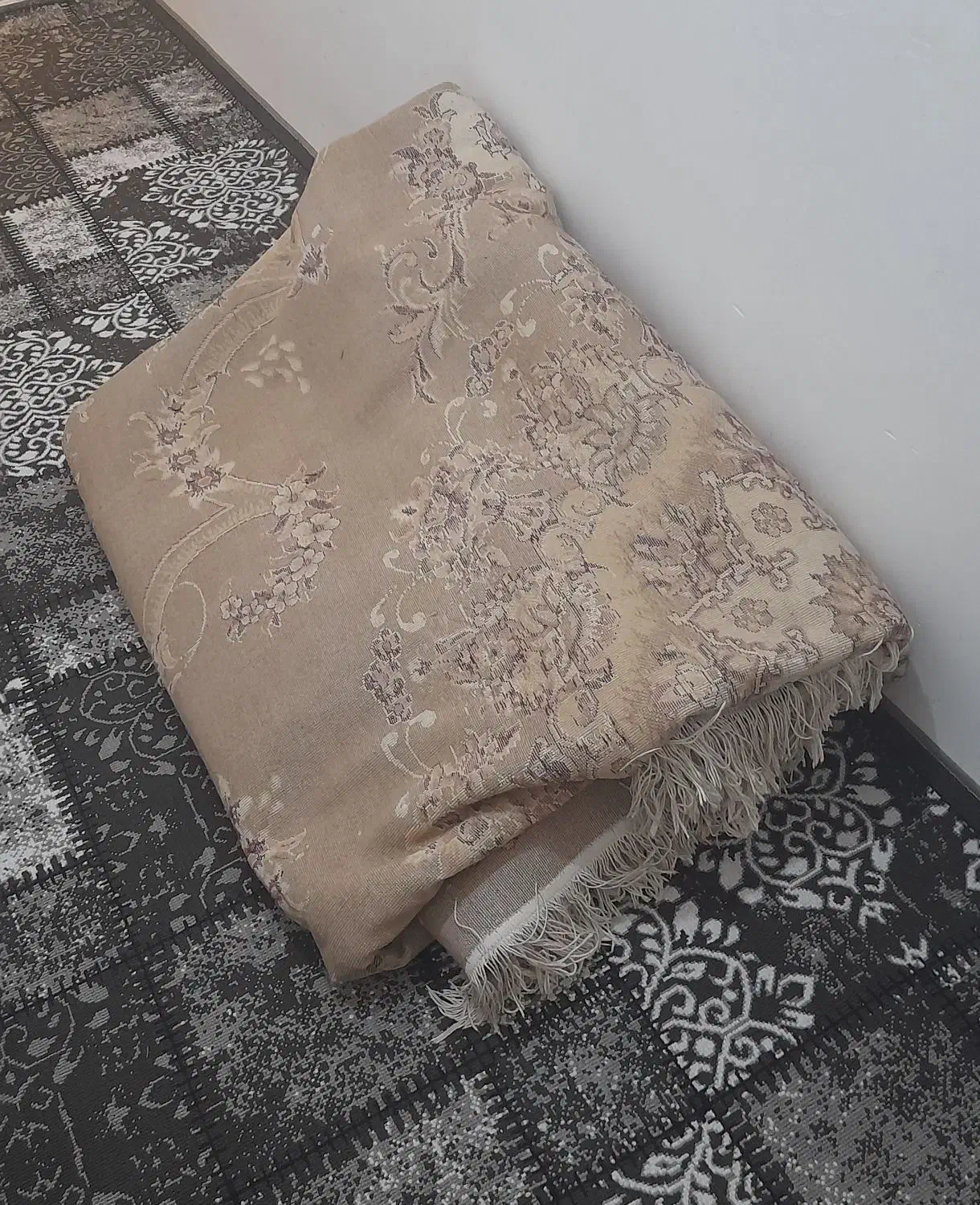 قالی|فرش|تایباد, |دیوار