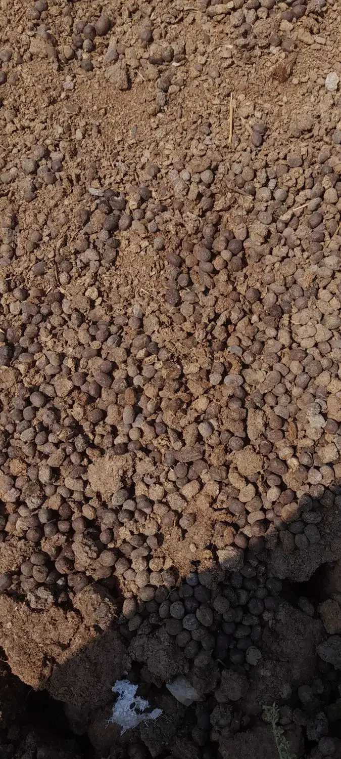 کود دامی گوسفندی  گاوی ورمی تضمینی|لوازم جانبی حیوانات|رضویه, |دیوار