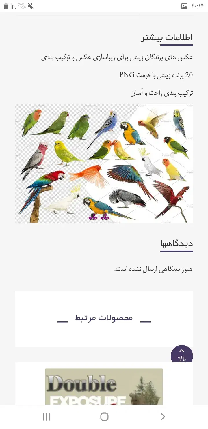 پرورش ماهی وپرندگان زینتی ،حلزون،زالوو|ماهی|مراغه, |دیوار