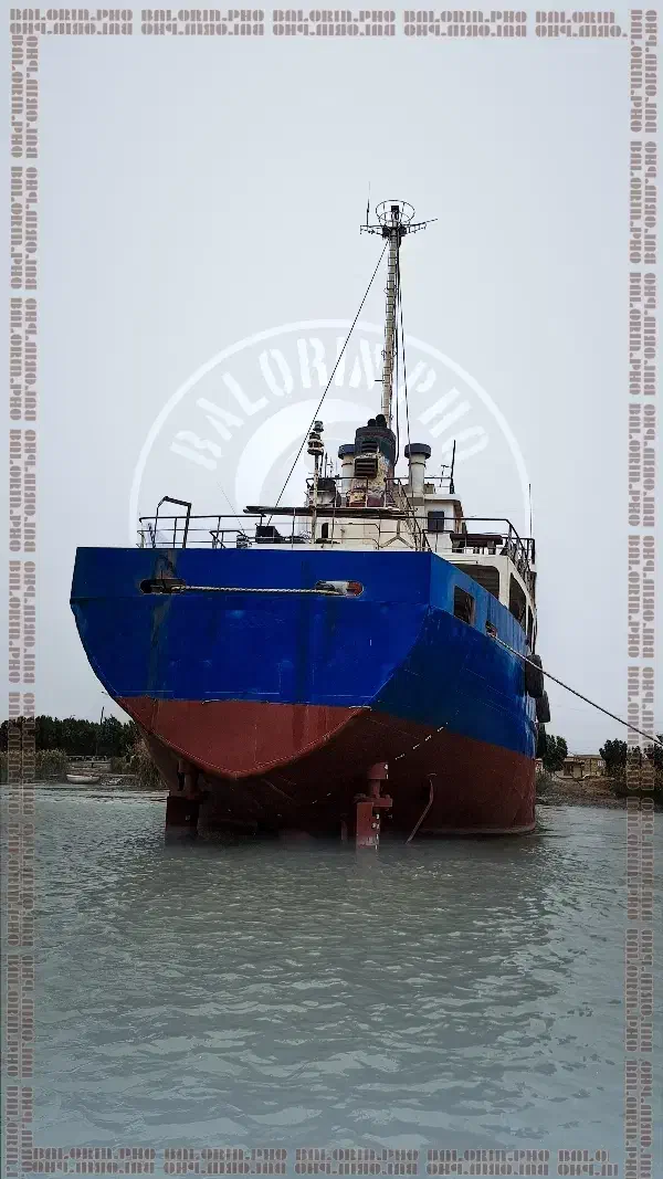 عکس حرفه ای با دوربین|دوربین عکاسی و فیلمبرداری|دهدشت, |دیوار