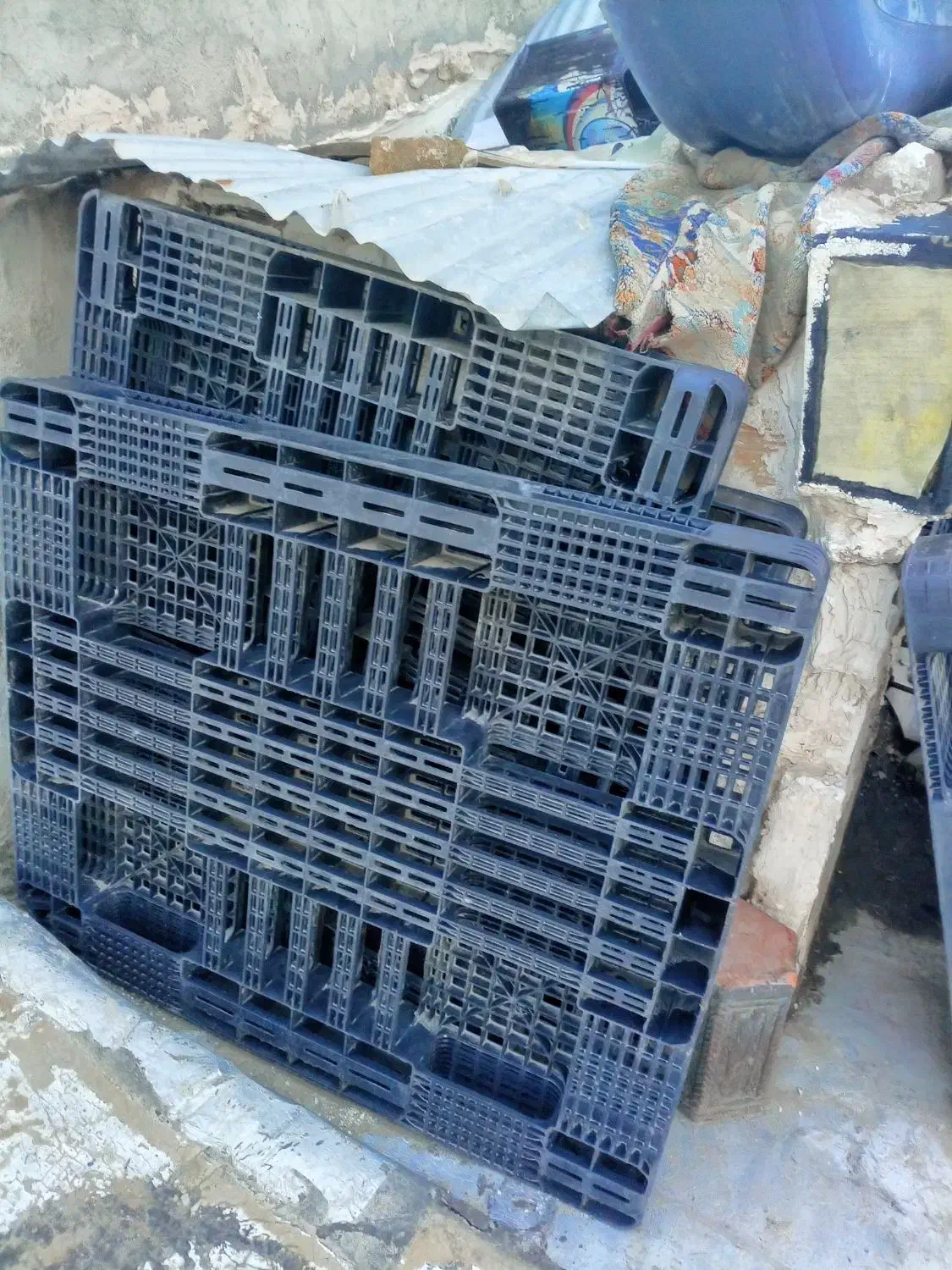 پالت پلاستیکی|فروشگاه و مغازه|ماهدشت, |دیوار