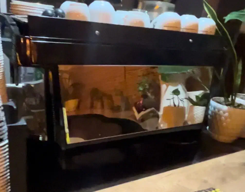 فایما|سماور، چایساز، قهوهساز|مبارکه, |دیوار