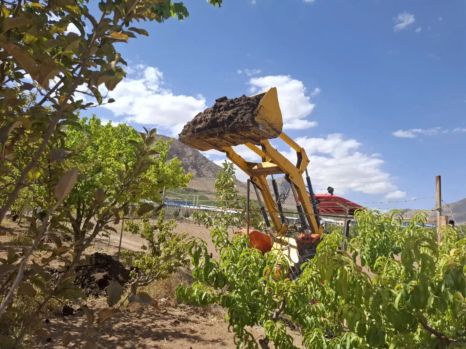 تراکتور بیل عقب رومانی سالم ،مدارک کامل|خودرو سنگین|شهرکرد, |دیوار