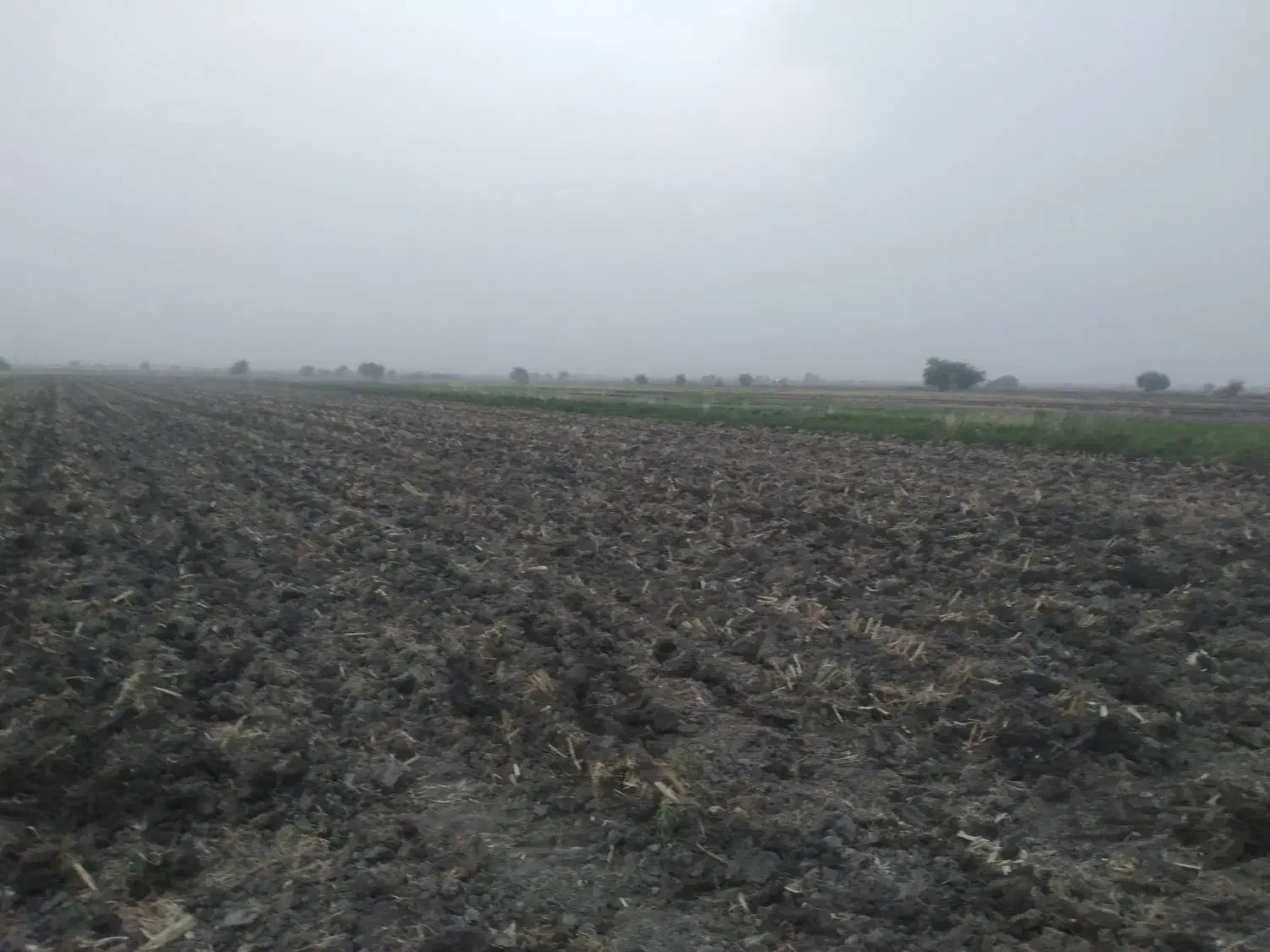 فروش زمین کشاورزی ملکی سند تک برگ|فروش دفتر صنعتی، کشاورزی، تجاری|اندیمشک, |دیوار