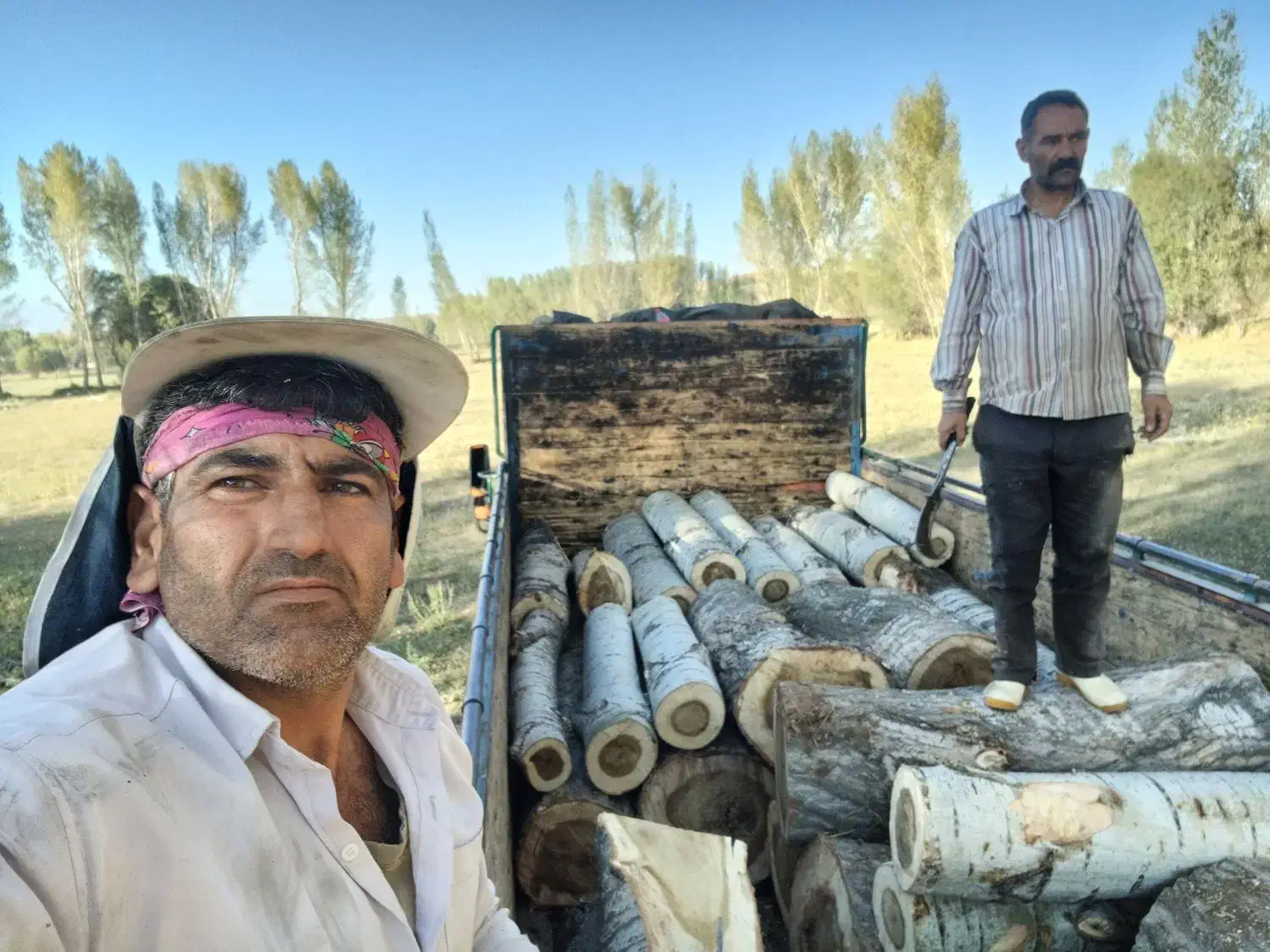 خریدار چوب خشک و تر|خدمات باغبانی و درختکاری|نیر (اردبیل), |دیوار