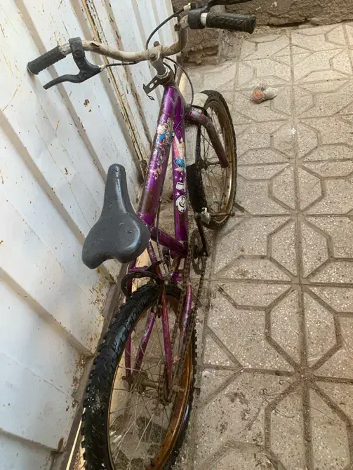 دوچرخه۲۰|دوچرخه، اسکیت، اسکوتر|تربت جام, شهرک معلم|دیوار