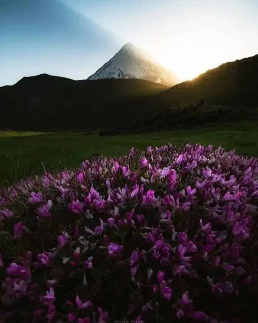 نیازمند نیرو خانم با جای اسکان|استخدام سرایداری و نظافت|شیراز, سایت اداری|دیوار