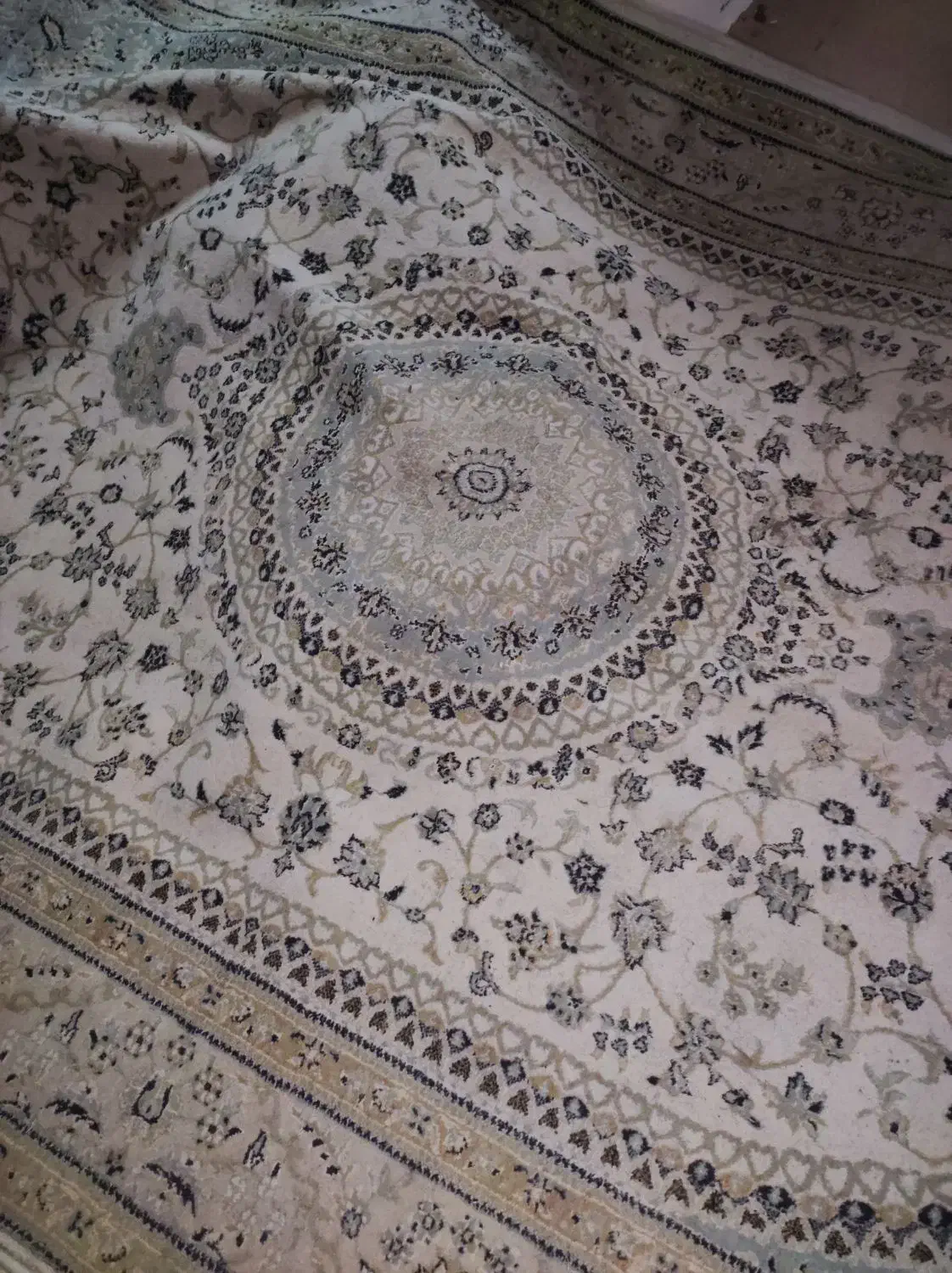 فرش 6 متری|فرش|رشت, سیا اسطلخ|دیوار