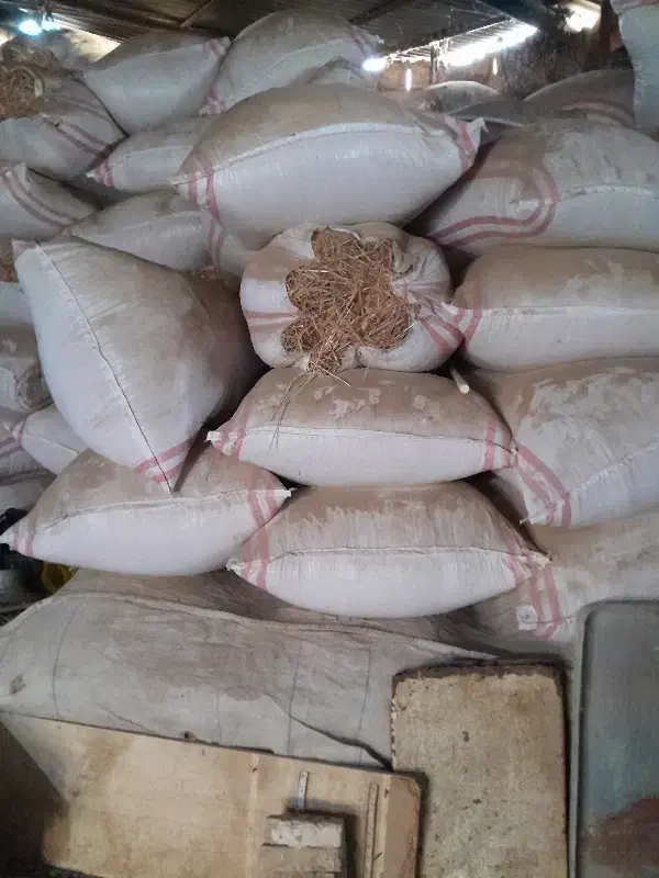 گاه|لوازم جانبی حیوانات|باوی, |دیوار