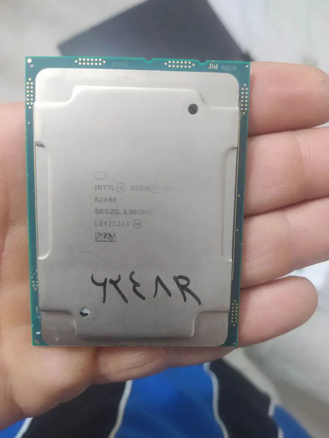 intel cold 6248R|قطعات و لوازم جانبی رایانه|تهران, تهرانسر مرکزی|دیوار