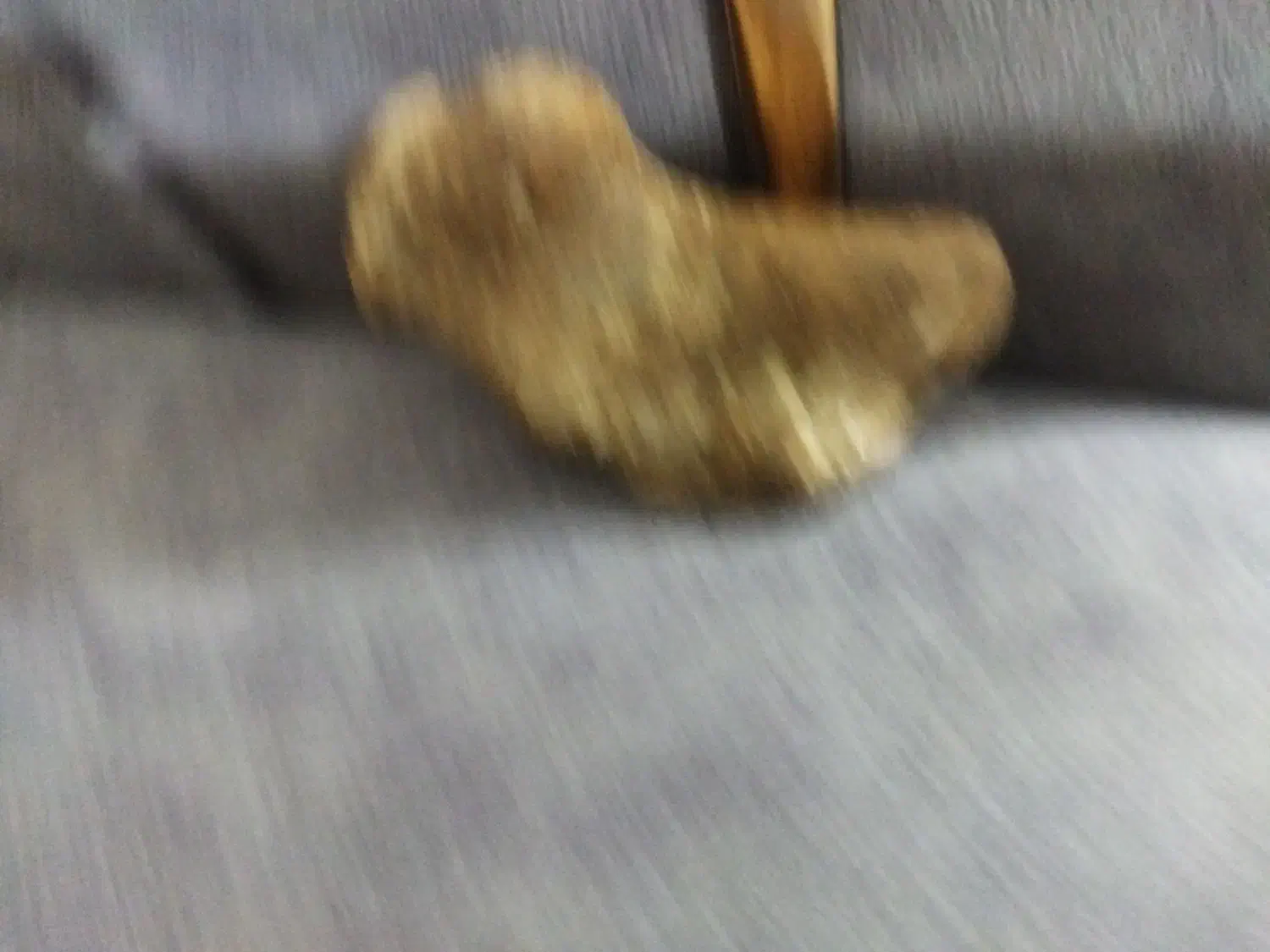 سنگ|کلکسیون اشیاء عتیقه|اراک, |دیوار