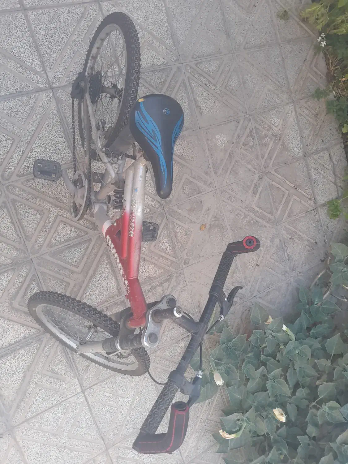دوچرخه سایزشانزده دخترانه وپسرانه سایزبیست دنده ای|دوچرخه، اسکیت، اسکوتر|اصفهان, هفتون|دیوار