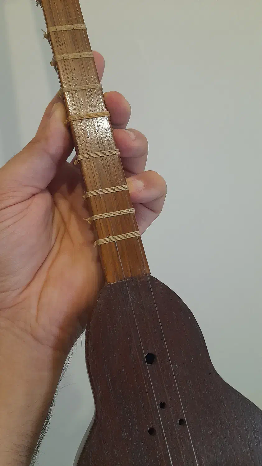 سه تار زیرعبایی|سازهای سنتی|تهران, فلسطین (میدان انقلاب)|دیوار