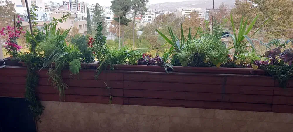 فروش زمین ۵۰۰ متری در قصرالدشت|فروش زمین و ملک کلنگی|شیراز, قصرالدشت|دیوار