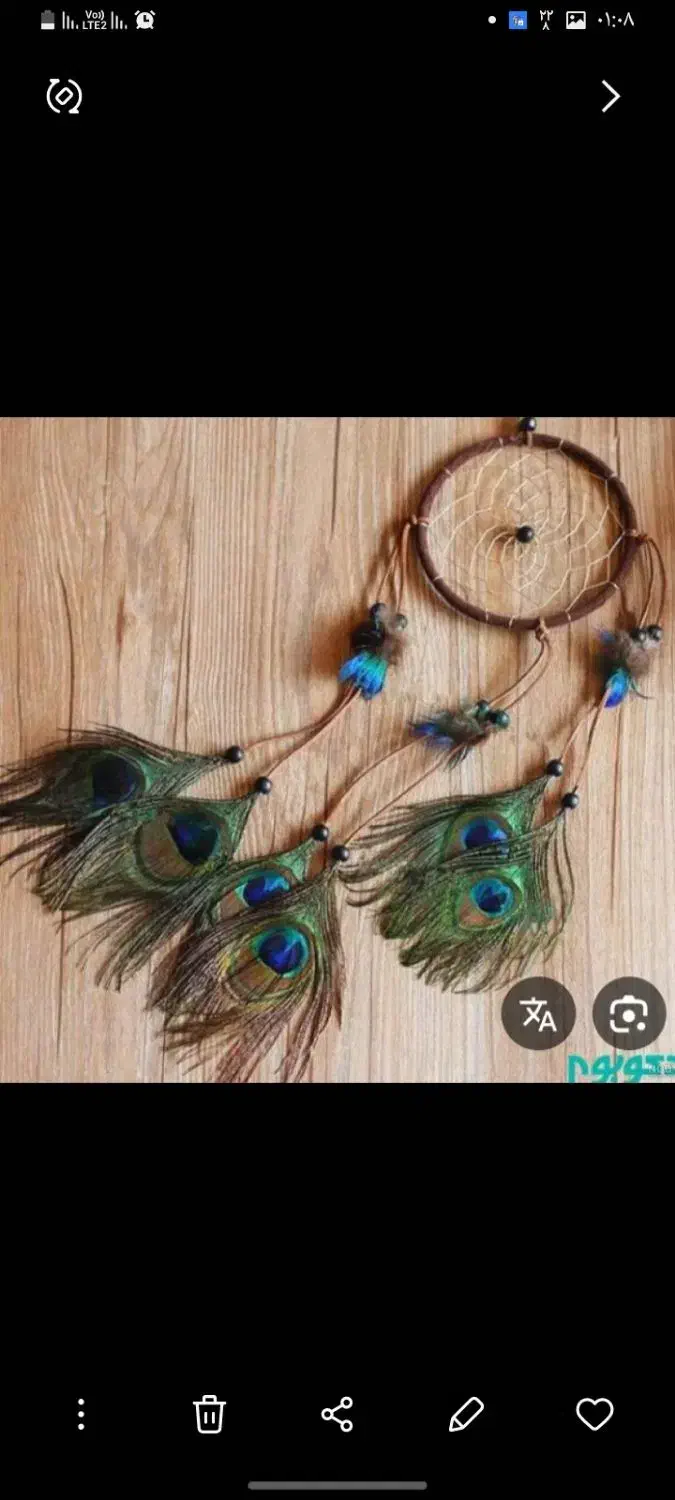 پر طاووس طبیعی|صنایع دستی و سایر لوازم تزئینی|بردسکن, |دیوار