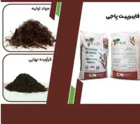 خاک مختص بستر حلزون|خزنده|مشهد, حضرت حجت|دیوار