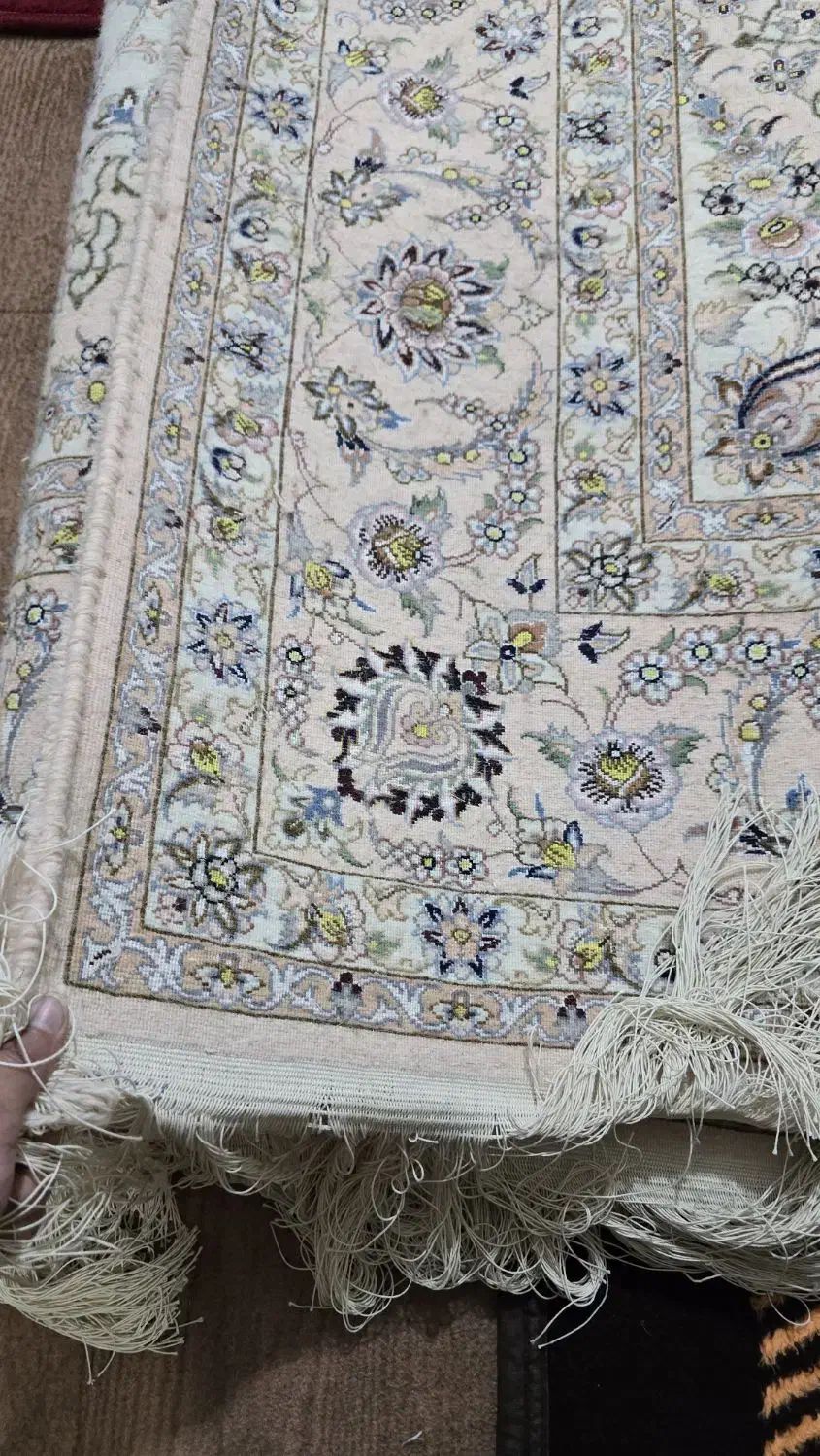 فرش نایین ۹ متری به قیمت توافقی|فرش|خمینی‌شهر, |دیوار