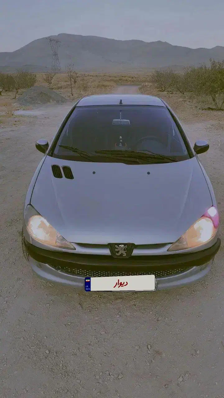 ۲۰۶مدل ۸۲ فرانسوی|خودرو سواری و وانت|خوانسار, |دیوار