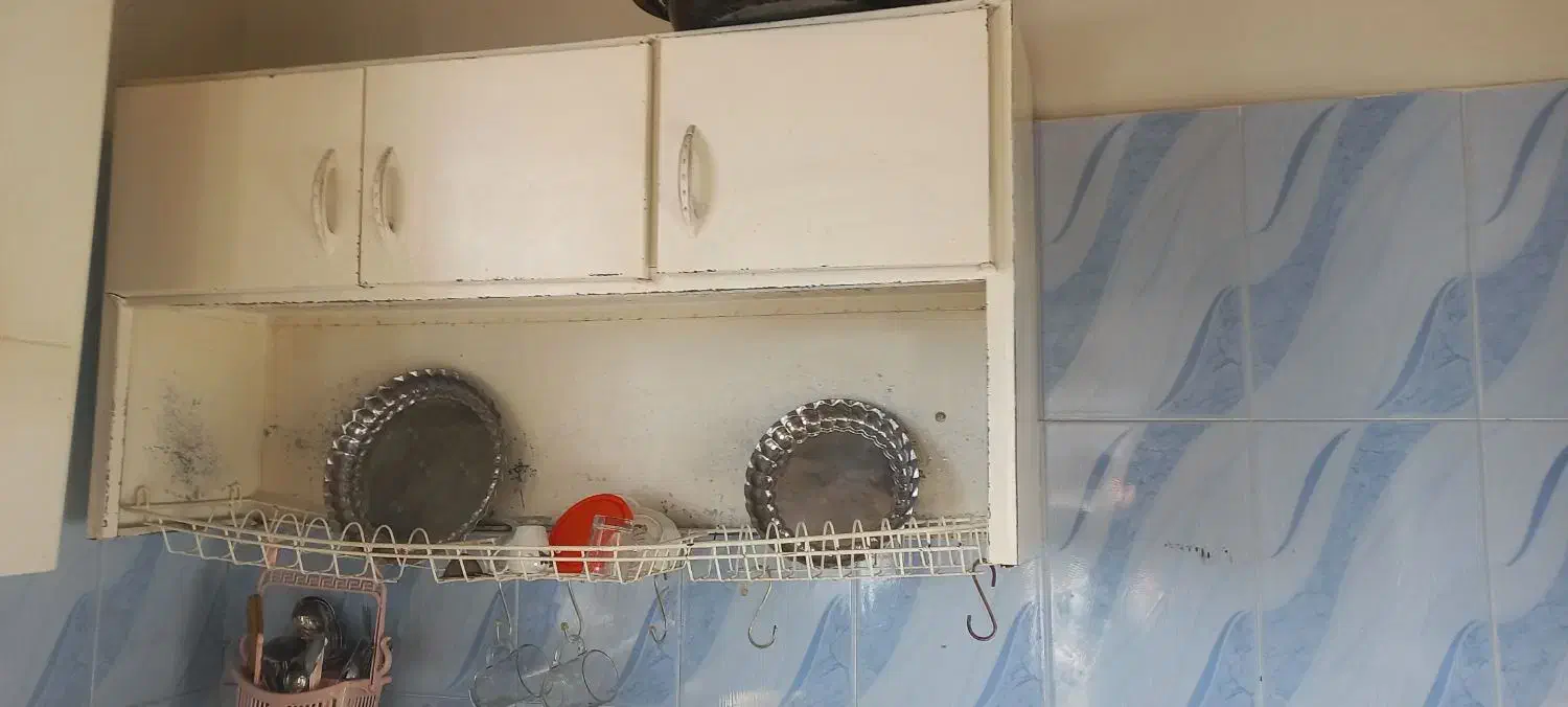 آبچکان و ظرفشویی فلزی|آب‌چکان و نظم‌دهنده ظروف|سبلان, |دیوار