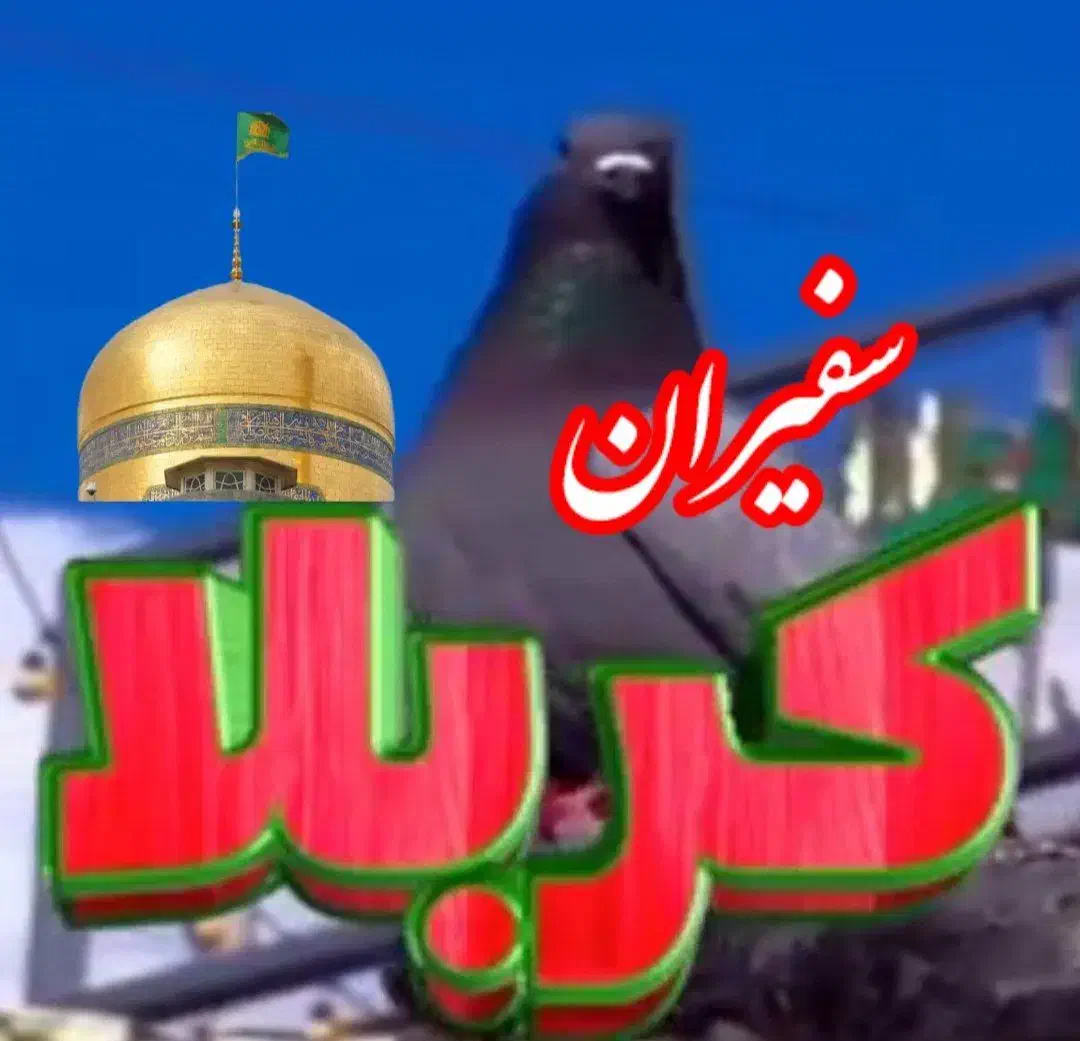 سفیران کربلا|تور و چارتر|مشهد, هفت تیر (حافظ)|دیوار