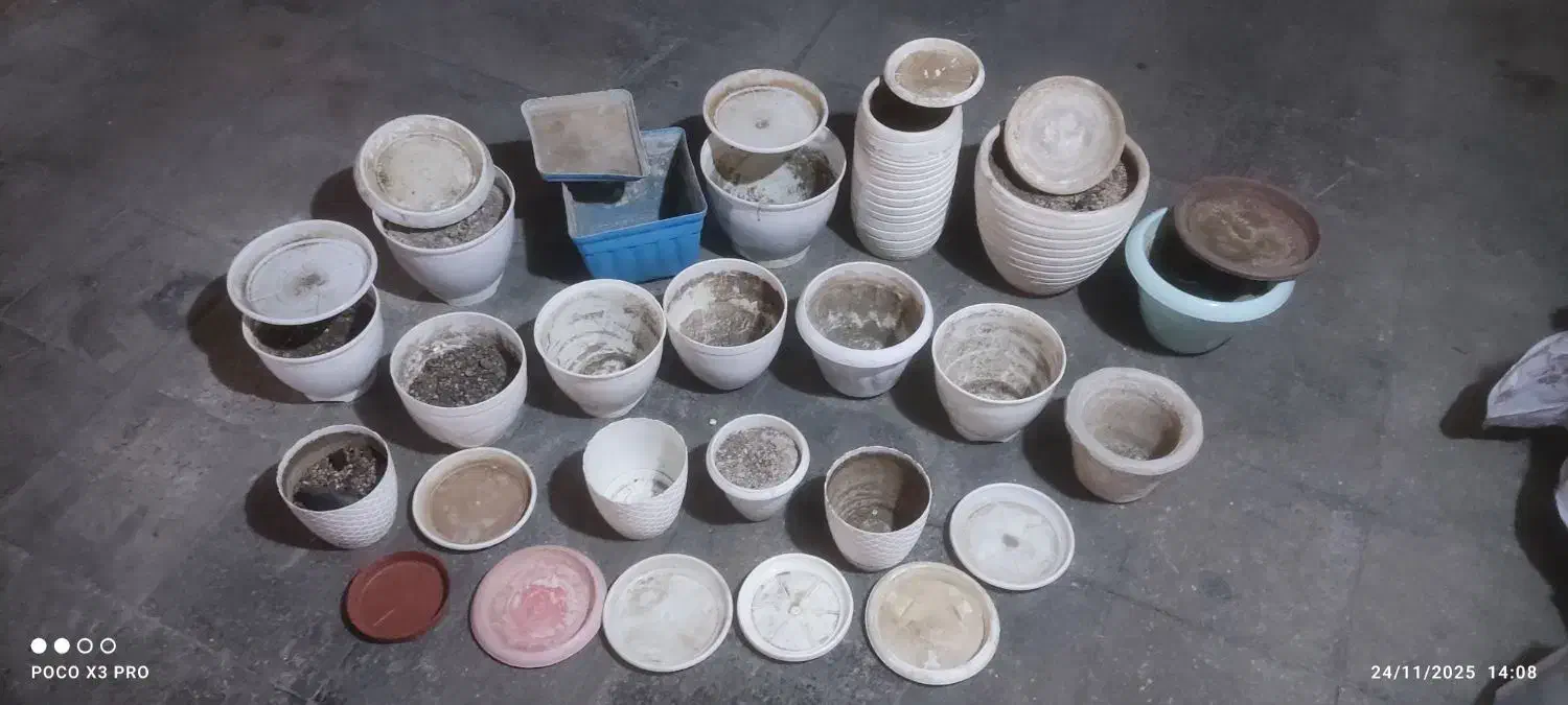 تعدادی گلدان سفالی و پلاستیکی سالم|گل و گیاه طبیعی|تهران, تهرانسر مرکزی|دیوار