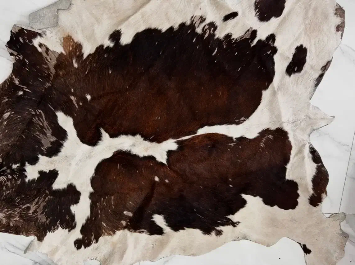 فرش پوست گاو|فرش|تهران, دریا|دیوار