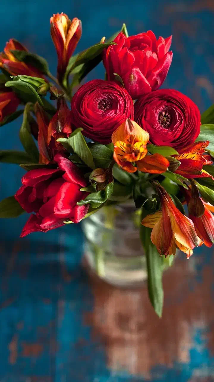 خانه باغ|فروش خانه و ویلا|قاهان, |دیوار