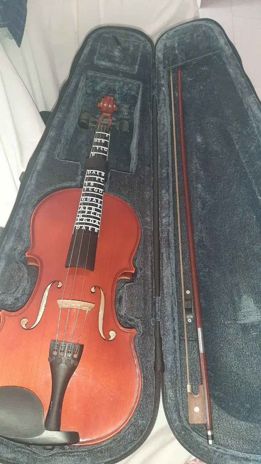 ویلن نو برای آموزش و هنر|ویولن|کرمانشاه, |دیوار