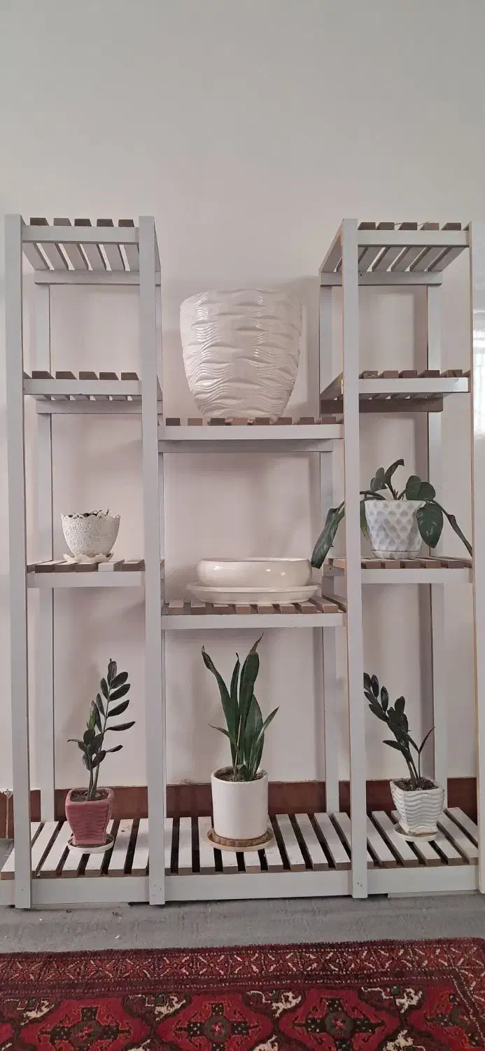 استند و گل طبیعی|گل و گیاه طبیعی|بیرجند, |دیوار