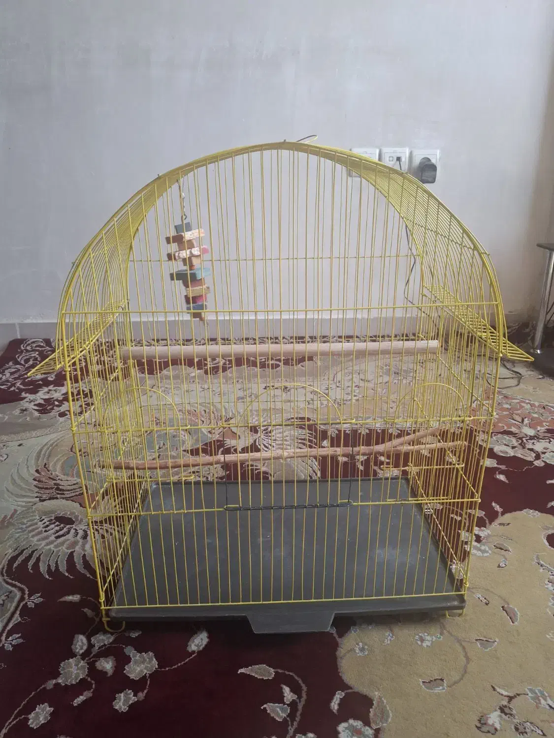 قفس پرنده|لوازم جانبی حیوانات|قدس, شهر‌قدس|دیوار