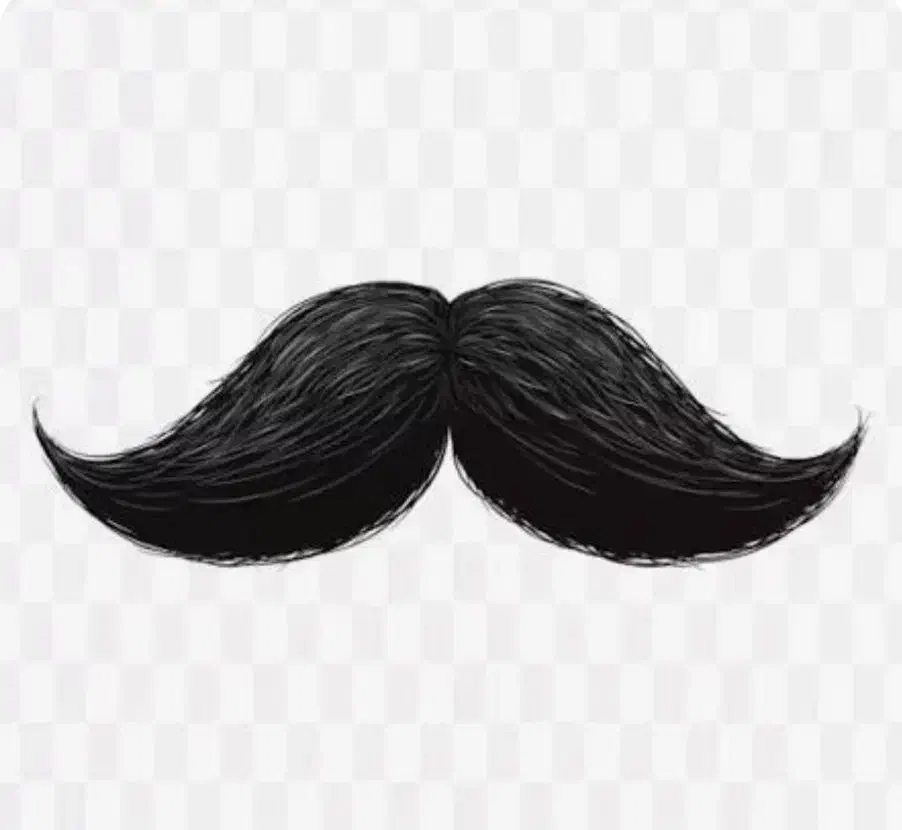 مجری دیجی خواننده ارکستر مراسم دارای مجوز|خدمات پذیرایی، مراسم|قم, دورشهر|دیوار