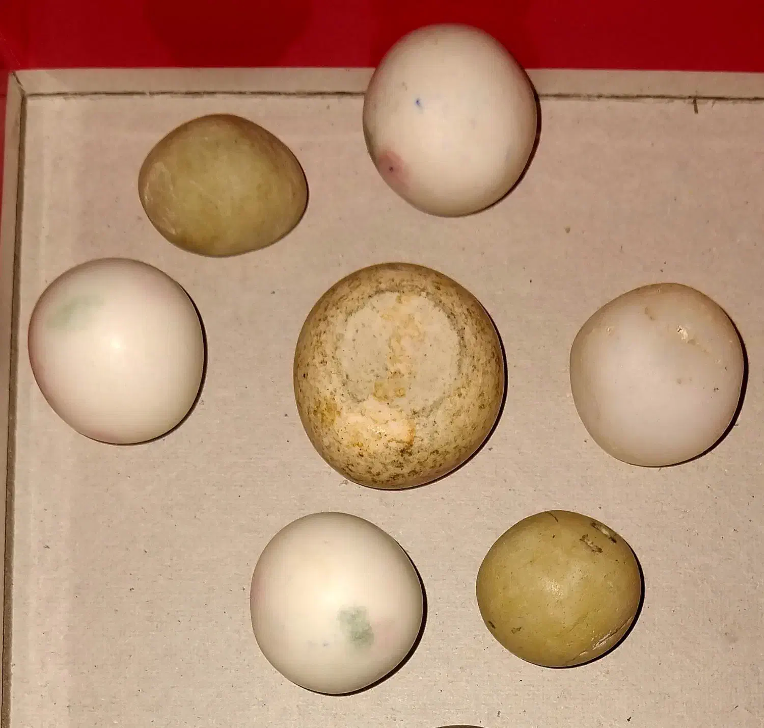 الماس آسیاب|جواهرات|همدان, |دیوار