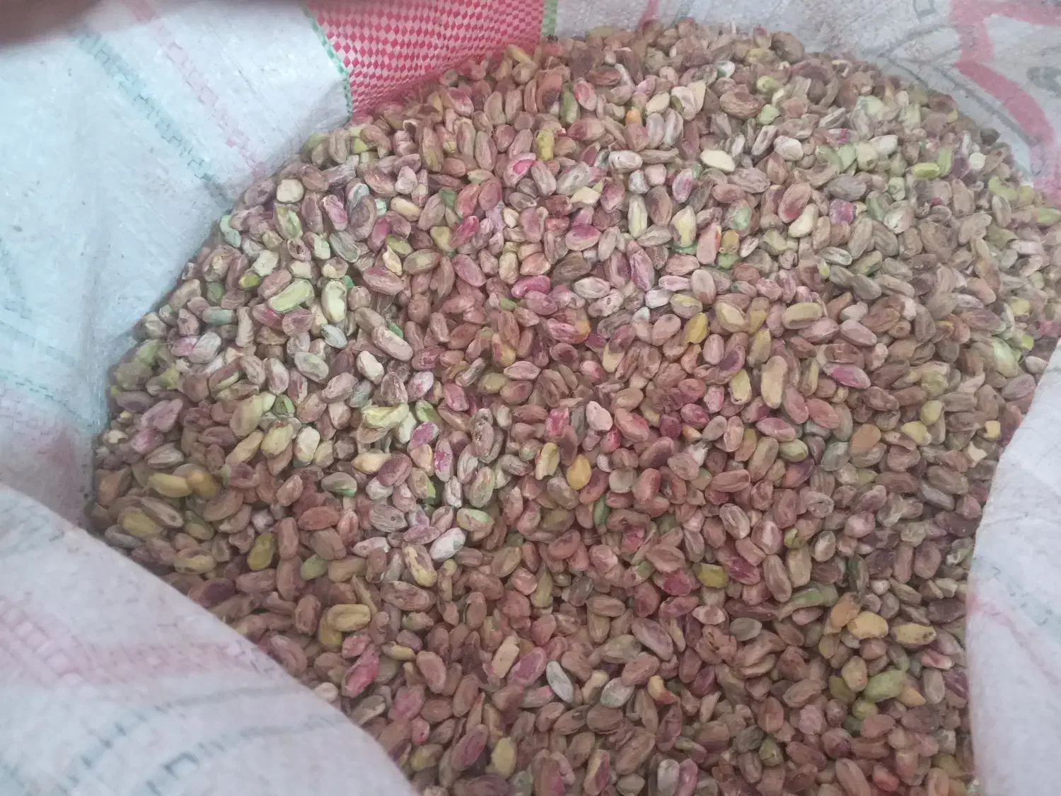 خدمات به کار کشاورز|خدمات باغبانی و درختکاری|اردکان, |دیوار