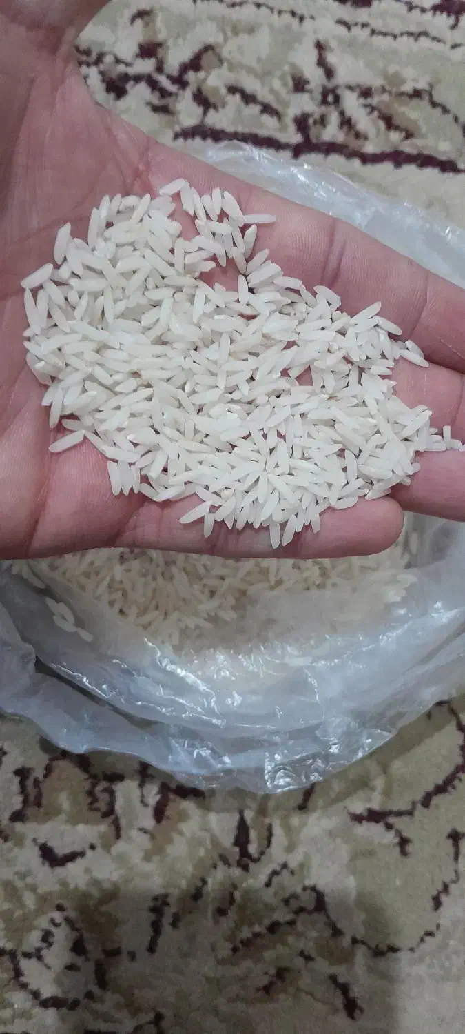 برنج هاشمی درجه ۱ سورتینگ شده|خوردنی و آشامیدنی|رشت, منظریه|دیوار