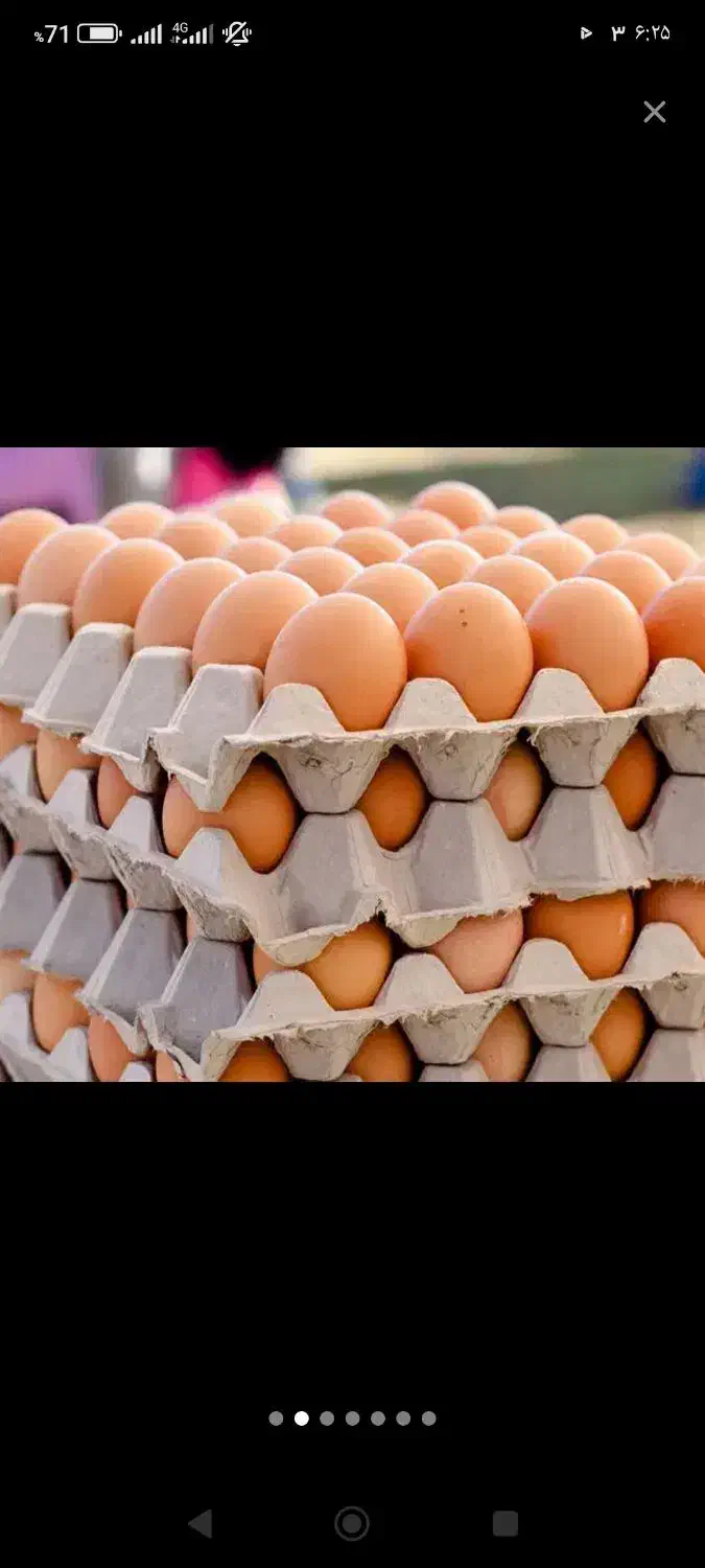 تخم مرغ|خوردنی و آشامیدنی|قصابه, |دیوار