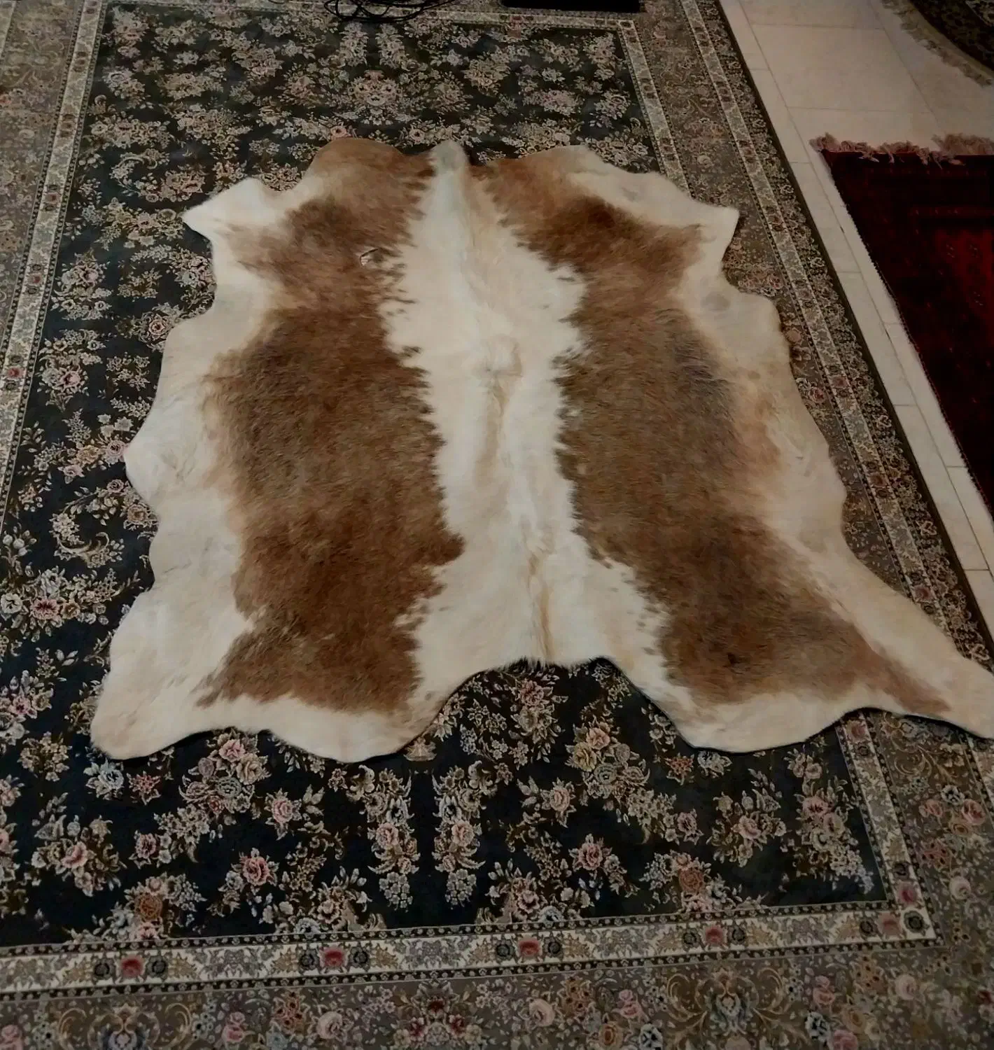 پوست گاودباغی شده باکیفیت|فرش|فردیس, سرحد آباد|دیوار