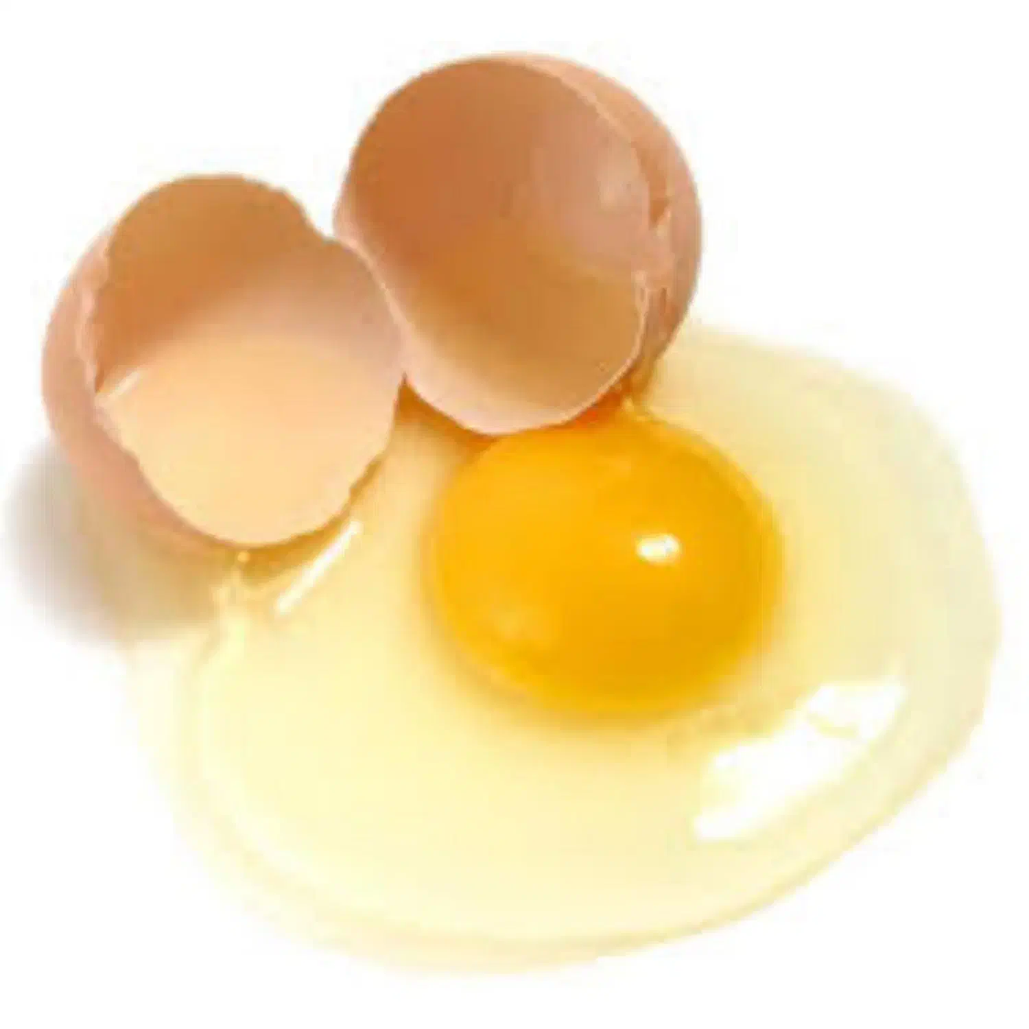 فروش ویژه مایع سفیده و رزده تخم مرغ|خوردنی و آشامیدنی|اصفهان, ناژوان|دیوار