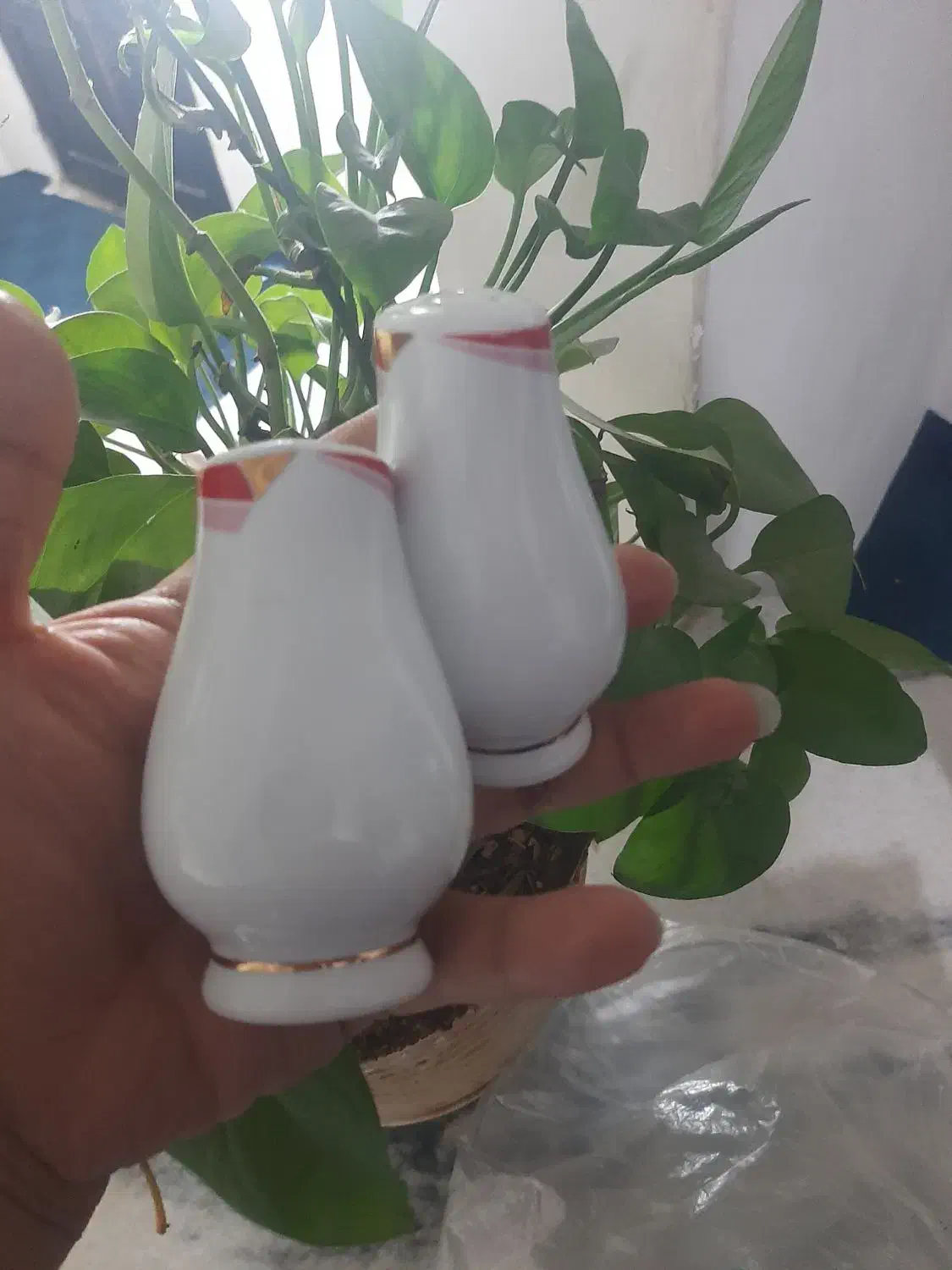 ظرف میوه و نمکدان باهم|ظروف سرو و پذیرایی|مشهد, شهید مطهری|دیوار