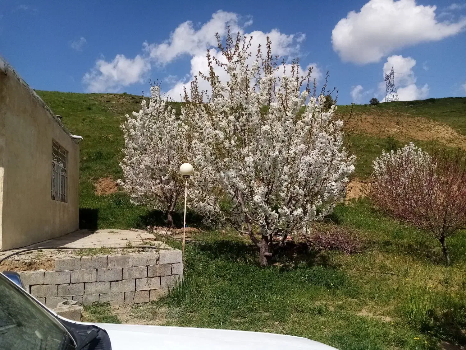 سویت ویلا باغ اجاره روزانه|اجارهٔ کوتاهمدت ویلا و باغ|مهاباد (آذربایجان غربی), |دیوار