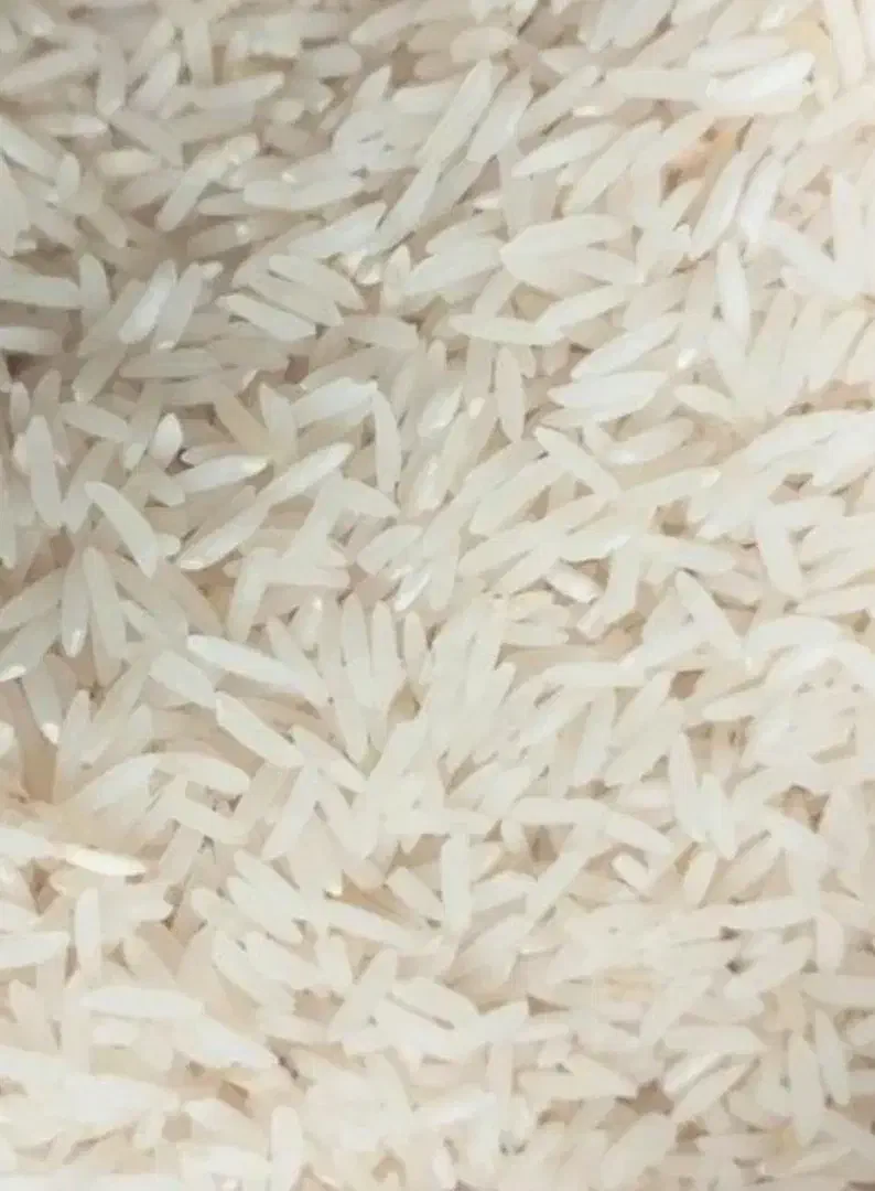 برنج فجر سوزنی|خوردنی و آشامیدنی|علی‌آباد کتول, |دیوار