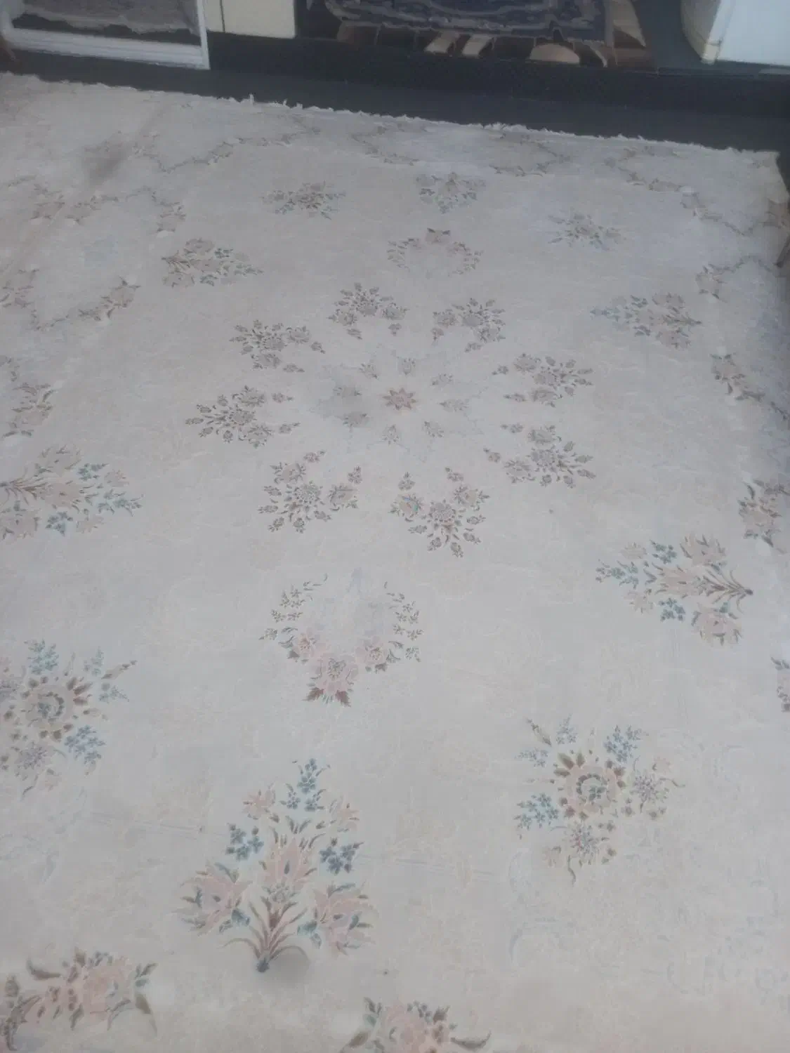 دو عدد فرش ۹متری تمام نخ بدون پلاستیک فروش فوری|فرش|اندیمشک, |دیوار