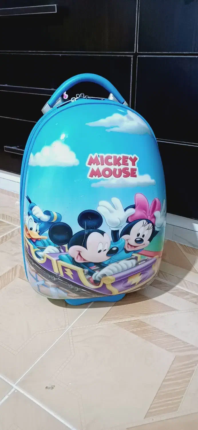 چمدان کودک و نوجوان|کیف، کفش، کمربند|آباده, |دیوار