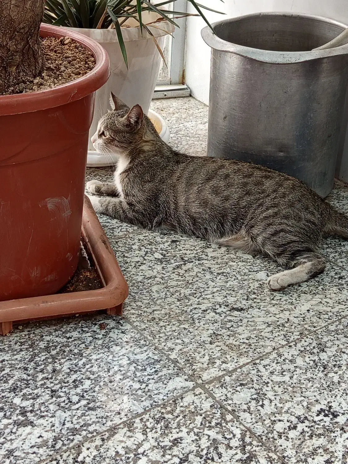 راهنمایی کار هجده سالمه|فعالیت داوطلبانه|قم, چهل درخت|دیوار